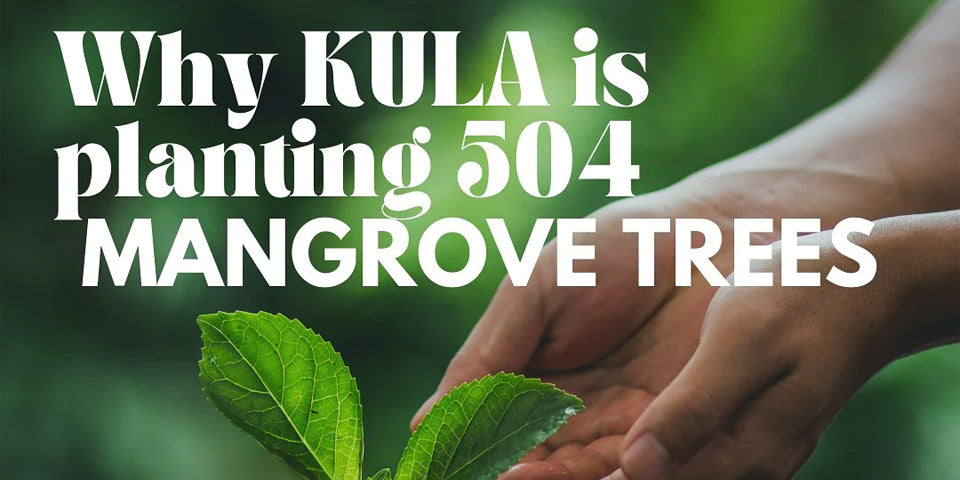 Why Kula is Planting 504 Mangrove Trees